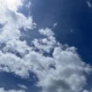 ゆるりんの画像