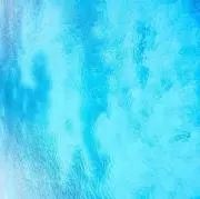 macchiの画像