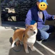 imoの画像
