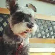 【プロフ読んでください】akakakの画像