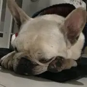 じゅん