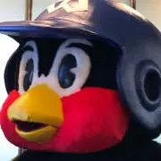 yomogiの画像