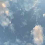 したっぱA