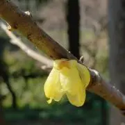 だんさんの画像