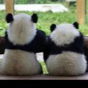 ramの画像