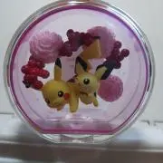 Piの画像