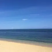 ウサぴょんの画像