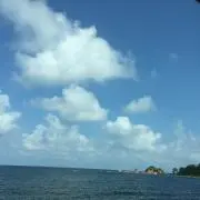 ♡ココ♡の画像