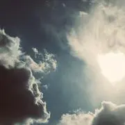 なじゅの画像