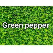 ★Green pepper★の画像