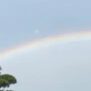 みっちの画像