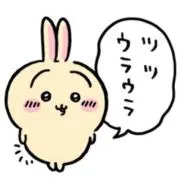 うさぎの画像