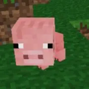 いっぷ