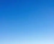 アオの画像
