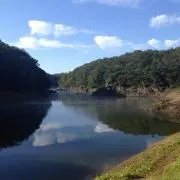 シェイプス