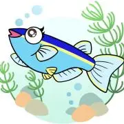 ⭐️kisi-taku⭐️の画像