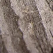 あ