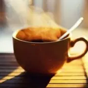 みーの画像