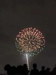 ぴよぴよ(プロフィール確認お願いします)の画像