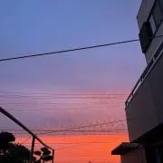 ド