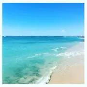ポノポノ.。プロフ必読☺︎即購入OKの画像