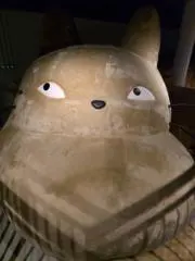 Stellaの画像