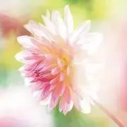 eyeの画像
