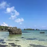 Coco293の画像