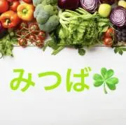 みつば⭐︎