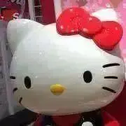 ぷーの画像