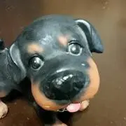 ひろ