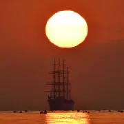 ごろ太の画像