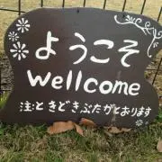 Yuuuuuuuuの画像