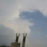 NAO