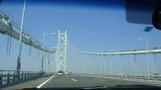さくらの画像