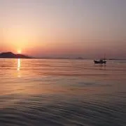 こきちの画像