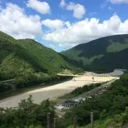 Ellieの画像