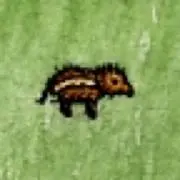 はいこ