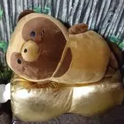 ぽん