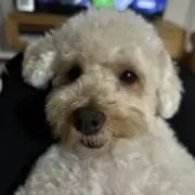 Kの画像