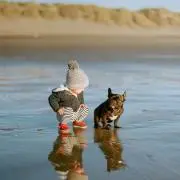 halucoの画像