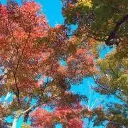 aiの画像