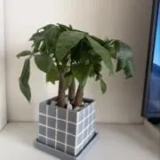 ブヤン