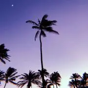 チーバくんの画像