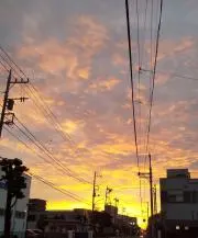 あずくるの画像