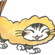 kotの画像