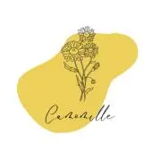 パタコ【camomilleカモミール】の画像