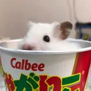 えるの画像