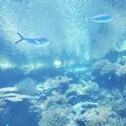 ぱるぱるの画像