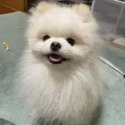 くーめろ